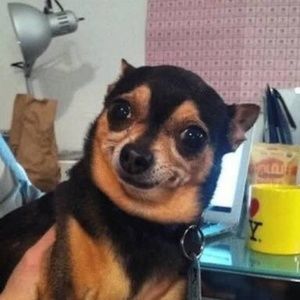 Meet your Posher, Briana